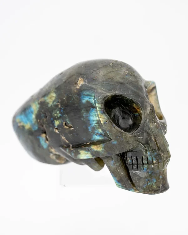 Crâne de type Alien en labradorite - ref259
